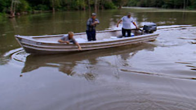 Swamp Showdown
