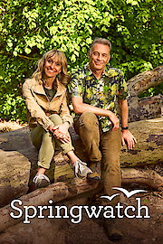 Springwatch poster