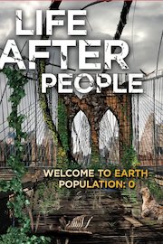 Life After poster