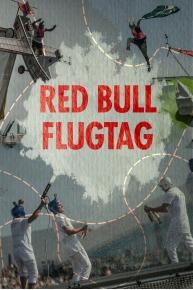 Red Bull Flugtag