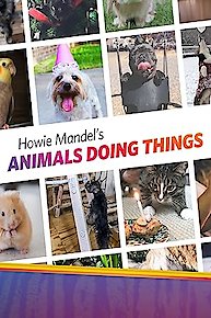 Howie Mandel's Animals Doing Things