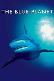 Blue Planet - Seas of Life poster