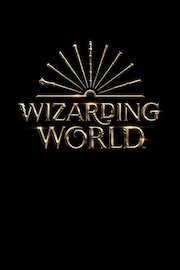 Wizarding World poster
