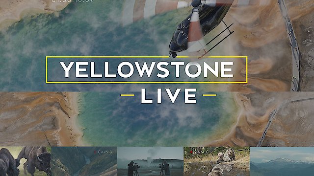 Watch Yellowstone Live Online