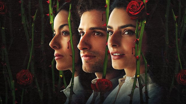Watch The House of Flowers Online