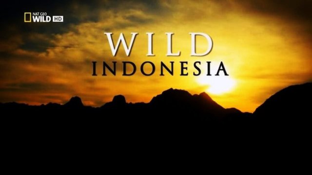 Watch Destination Wild Online