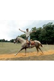 The Horse Show poster