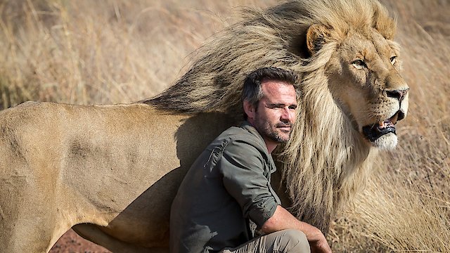 Watch The Lion Ranger Online