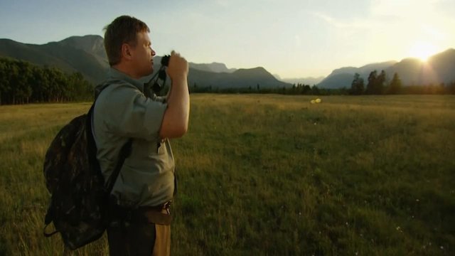 Watch SURVIVAL WITH RAY MEARS Online