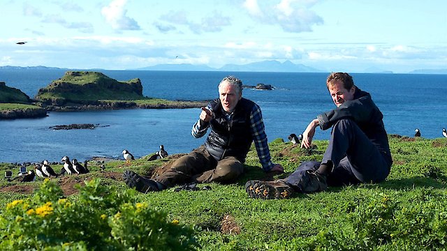 Watch Into the Wild with Gordon Buchanan Online