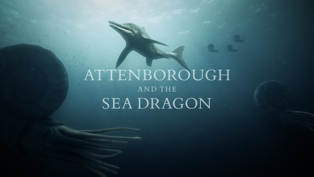 Watch Attenborough and The Sea Dragon Online