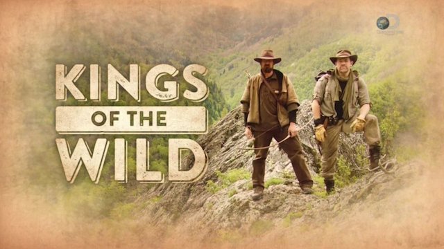 Watch Kings Of The Wild Online