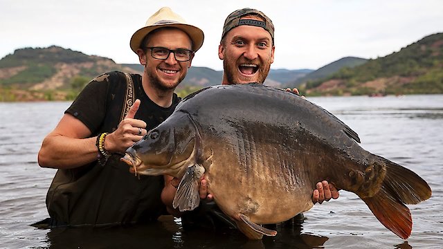 Watch Monster Carp Online