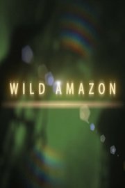 Wild Amazon poster