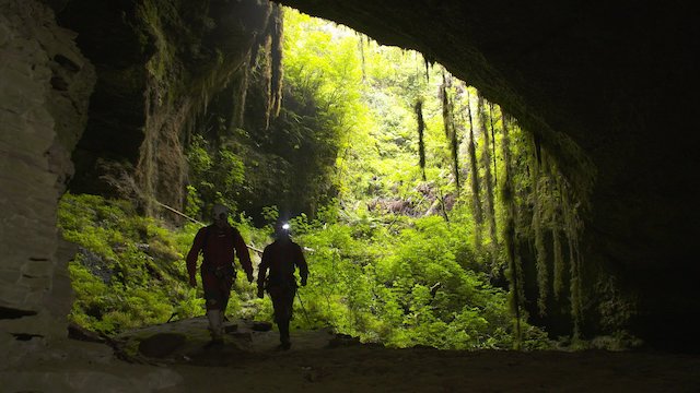 Watch Beneath New Zealand Online