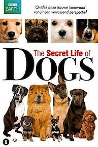 The Secret Life of Dogs