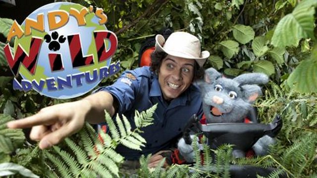 Watch Andy's Wild Adventures Online