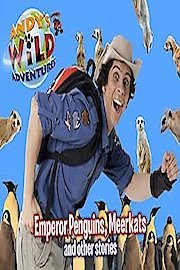 Andy's Wild Adventures poster