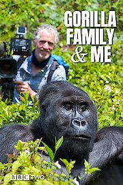 Gorilla Family & Me poster
