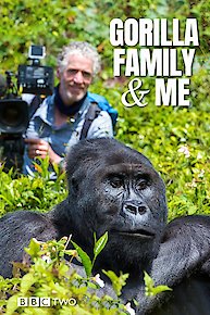 Gorilla Family & Me