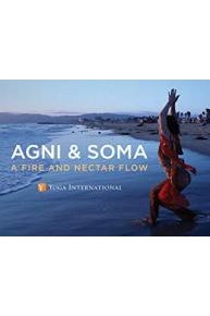 Agni & Soma: A Fire and Nectar Flow