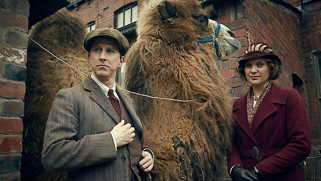 Watch Our Zoo Online