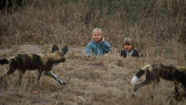 Watch Safari Sisters Online