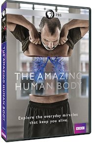 The Amazing Human Body