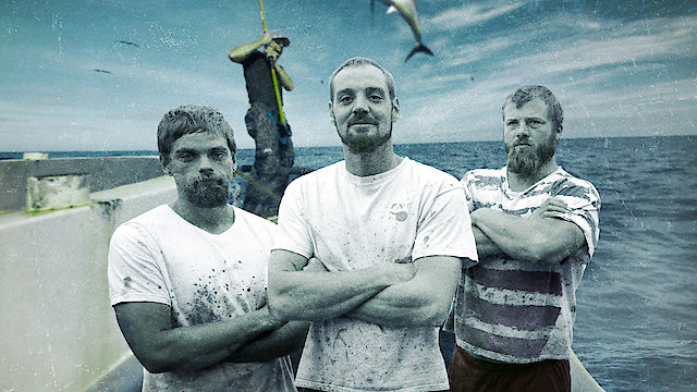 Watch Battlefish Online