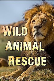 Wild Animal Rescue poster