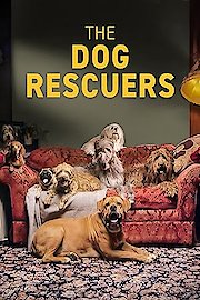 The Dog Rescuers poster
