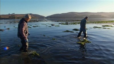 Farming the Sea