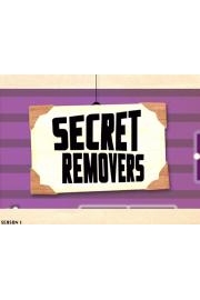 Secret Removers poster