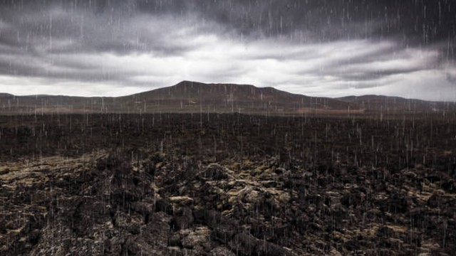 Watch Mass Extinction: Life at the Brink Online