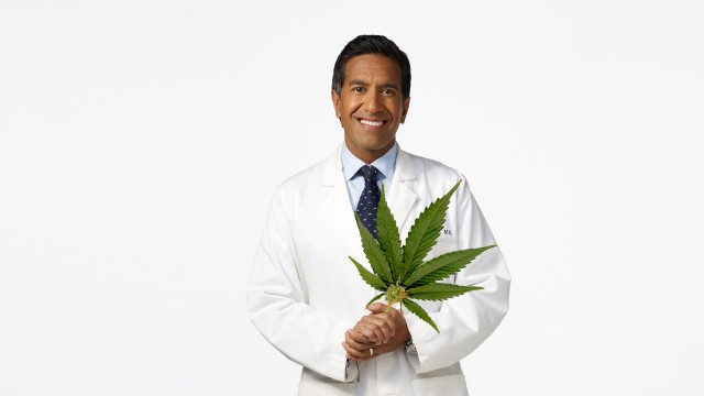 Watch Weed 4: Pot vs. Pills Online