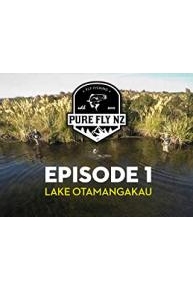 Pure Fly NZ