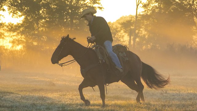 Watch The Cowboy Way Online