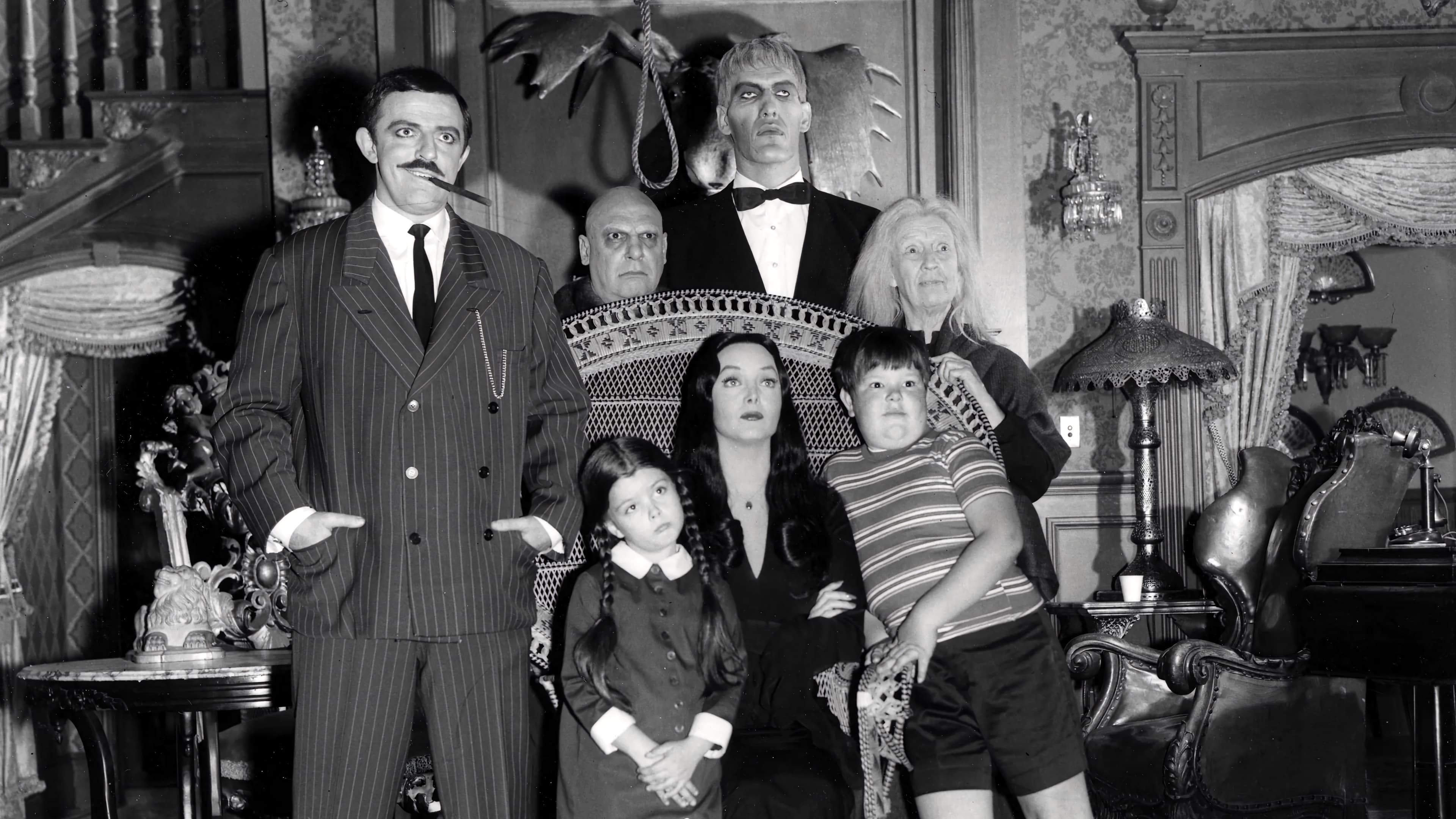 Watch Addams Family Online