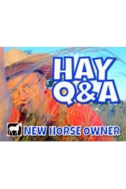 New Horse Owner: Hay Q&A poster