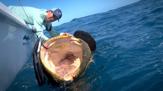 Watch Monster Fish: Off The Hook! Online