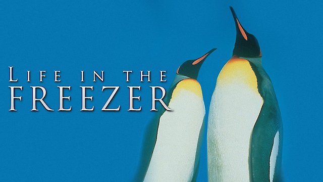 Watch Life in the Freezer Online