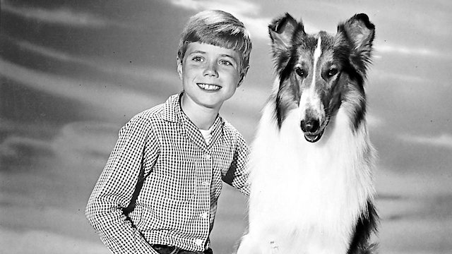 Watch Lassie Online