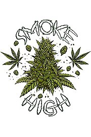 Smoke High poster