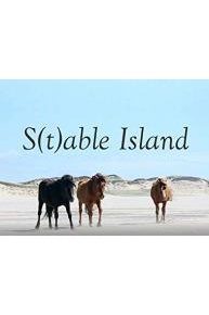 S(t) able Island