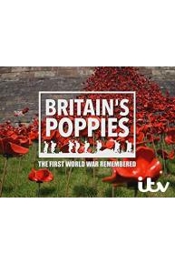 Britain's Poppies: The First World War Remembered