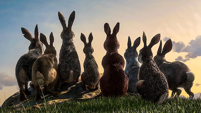 Watch Watership Down Online