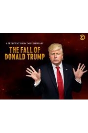A President Show Documentary: The Fall of Donald Trump poster