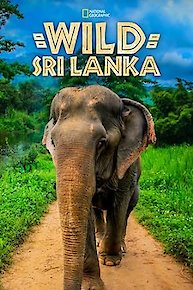 Wild Sri Lanka