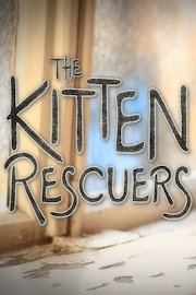 Kitten Rescuers poster