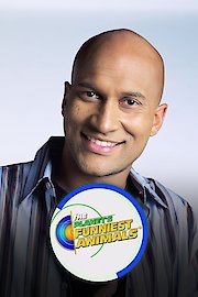 Planet's Funniest Animals poster
